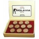 Наклейка для кия «Molavia» (M) 13 мм